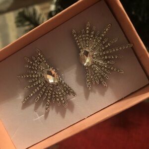 Elegant Silver Crystal Earrings